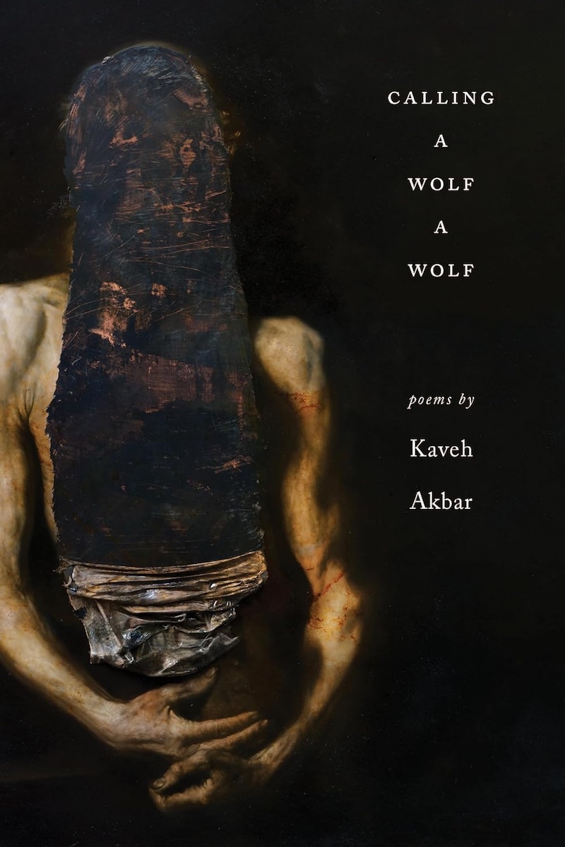 Calling a Wolf a Wolf 封面